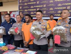 Kapolresta: WN PNG selundupkan 2,7 Kg ganja ditangkap di Argapura