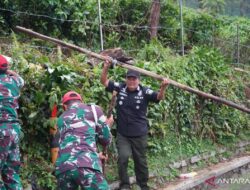 Pemkab Bogor bersihkan puing bekas lapak PKL di Kawasan Wisata Puncak