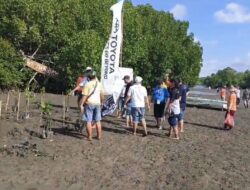 Klub mobil TeRuCI rayakan hari jadi ke-17 tanam 1.000 mangrove