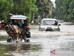 Usai lintasi banjir, pancing rem mobil agar bisa prima kembali